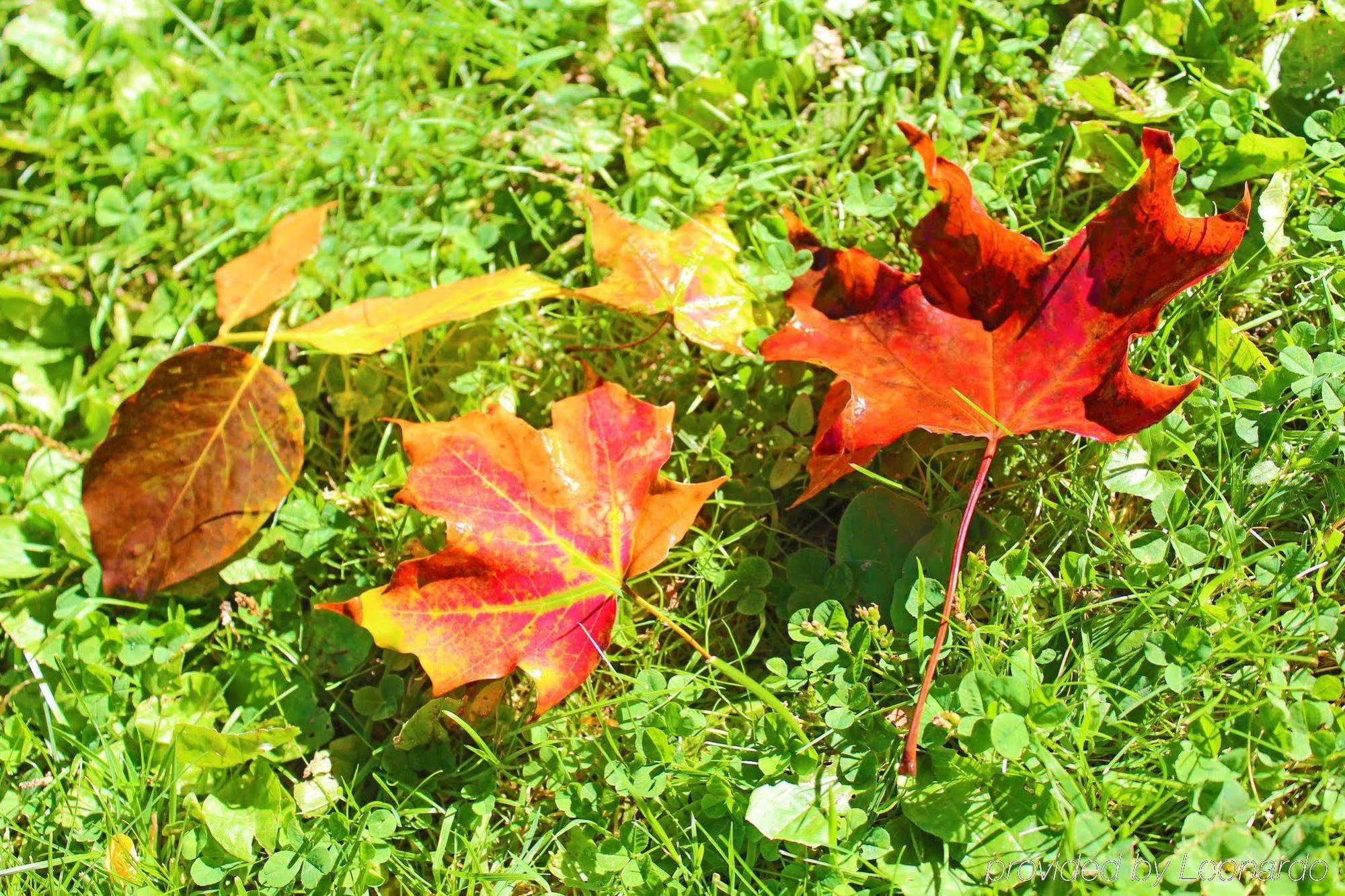 Heart Of The Village Bed & Breakfast In Shelburne Vt Eksteriør bilde